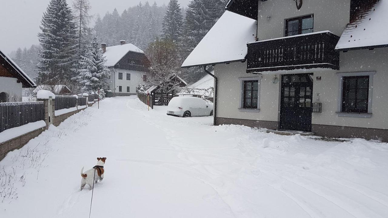 Apartman Irvin Kranjska Gora Exteriér fotografie